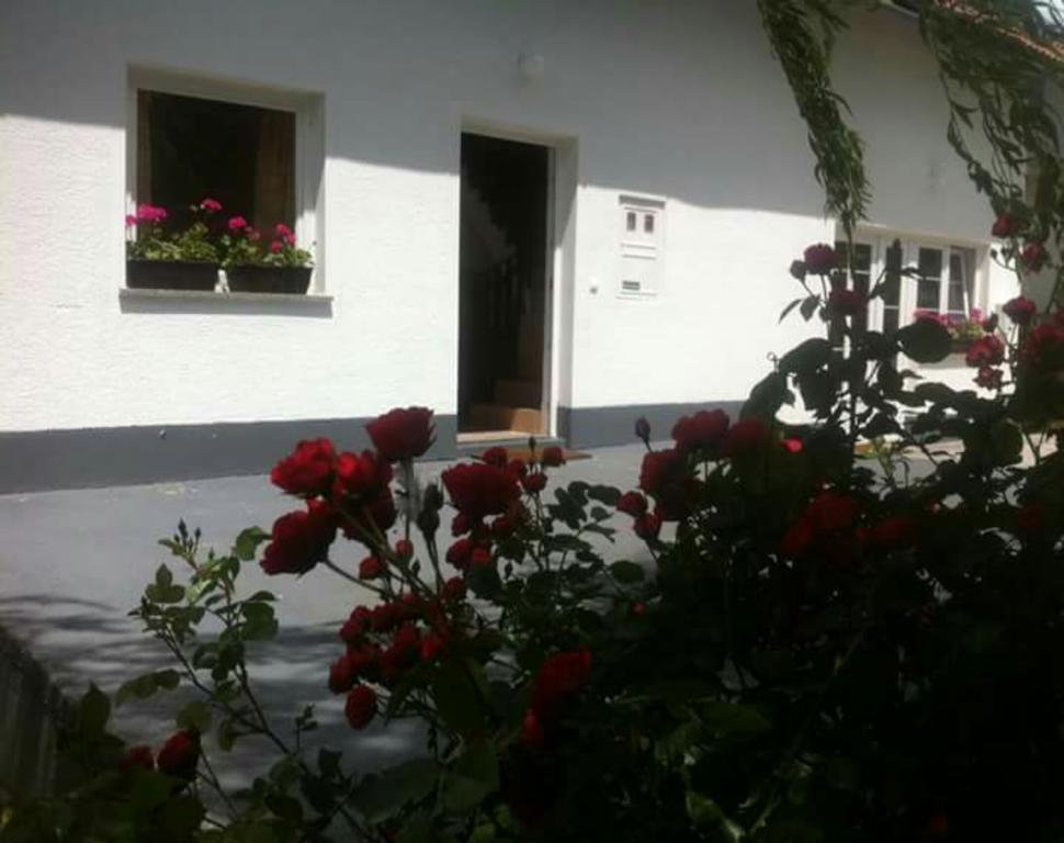 Guest House First Stop Rakovica Exteriör bild