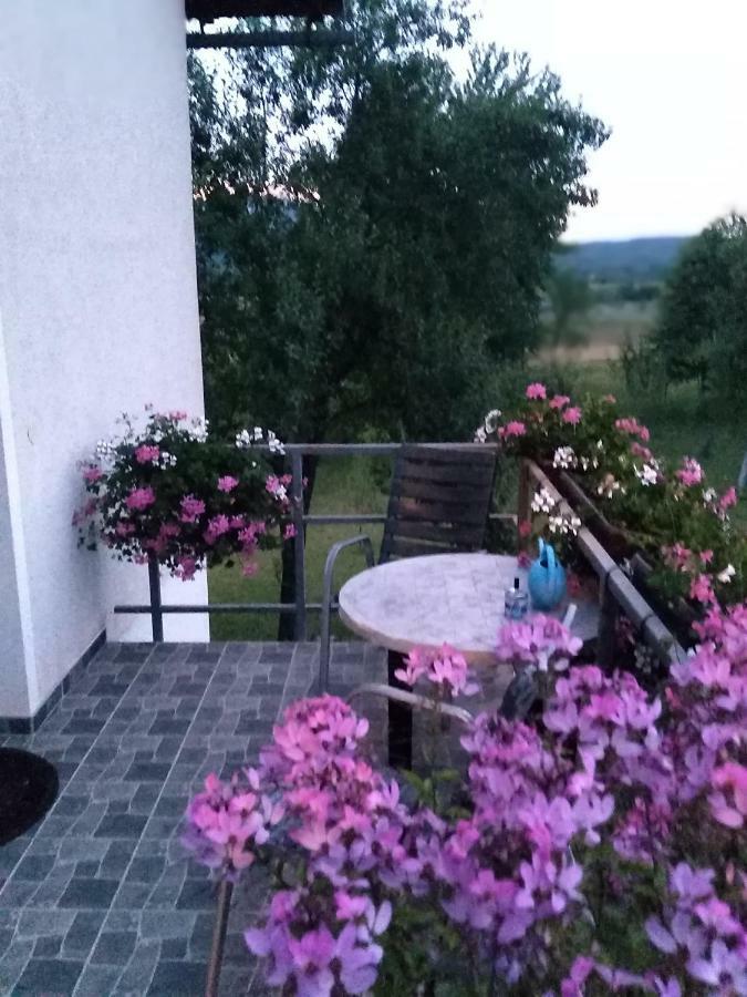 Guest House First Stop Rakovica Exteriör bild
